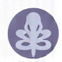 Icon for Pelvic Floor Support